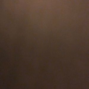 Meet your Posher, Lilly